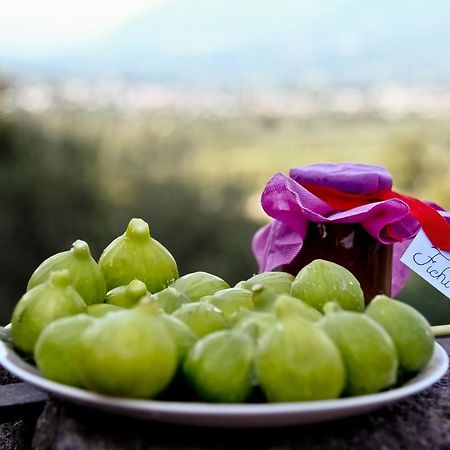 Sentieri Luminosi Διαμέρισμα SantʼAgata deʼ Goti Εξωτερικό φωτογραφία