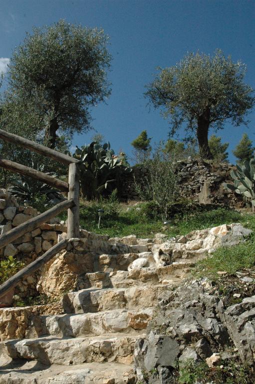 Sentieri Luminosi Διαμέρισμα SantʼAgata deʼ Goti Εξωτερικό φωτογραφία