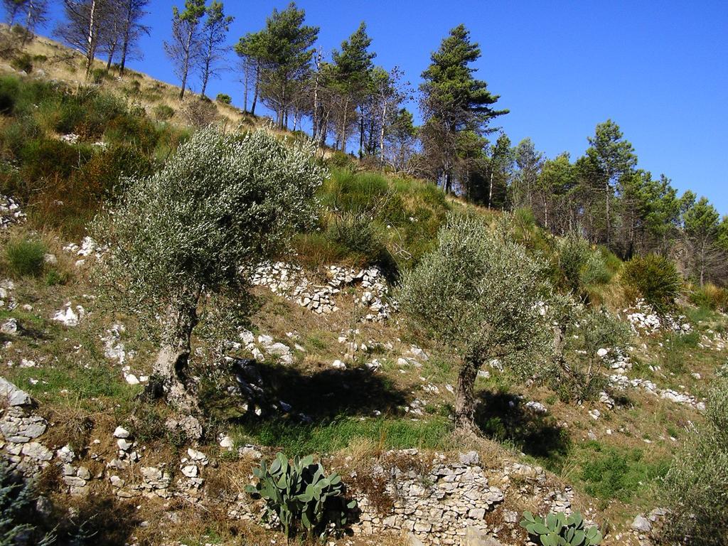 Sentieri Luminosi Διαμέρισμα SantʼAgata deʼ Goti Εξωτερικό φωτογραφία